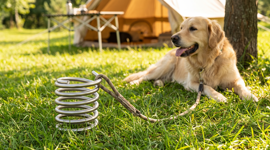 Spiral-Bodenanker mit Leine im Garten, Hund liegt entspannt daneben